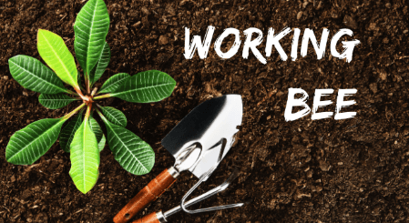 Twilight working bee - 19 Feb