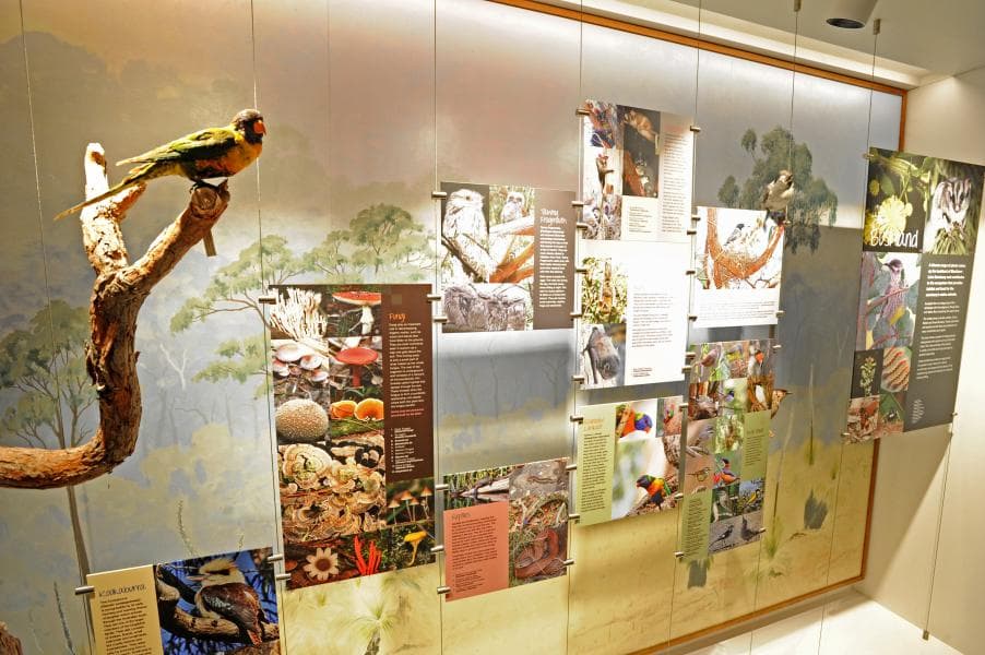 Interior display at the Blackburn Lake Sanctuary Visitor Centre