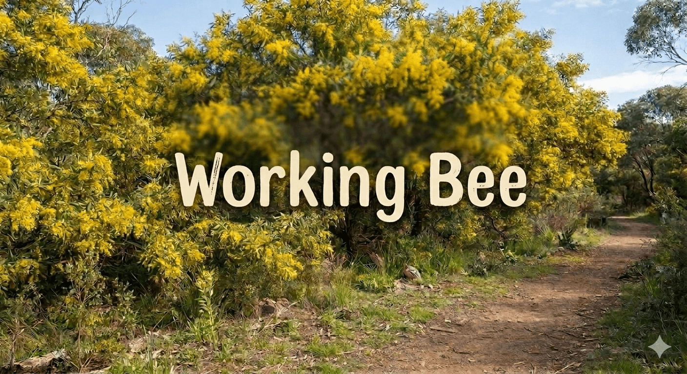 Working bee - 12 September