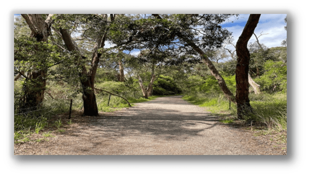 Park Appreciation & Discovery Walks