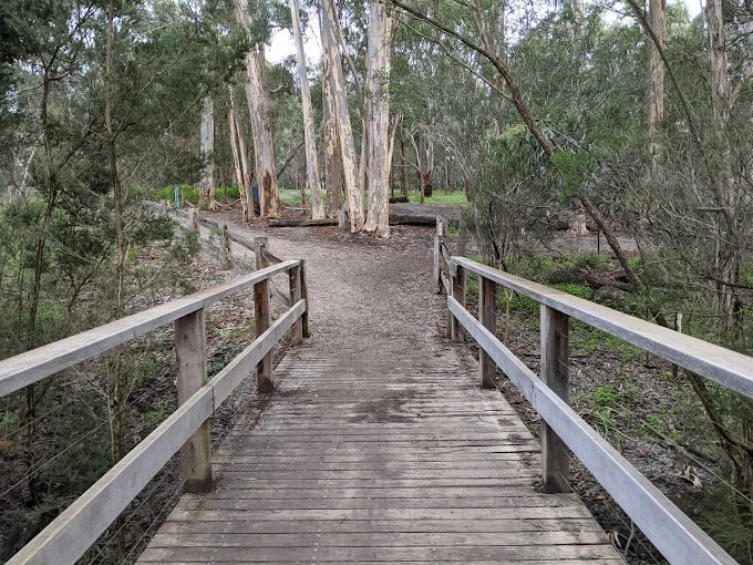 Blackburn Lake Sanctuary bushland and lake