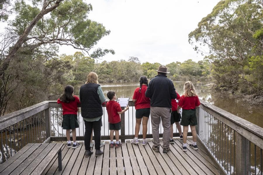 Students on the platform at Blackburn Lake Sanctuary